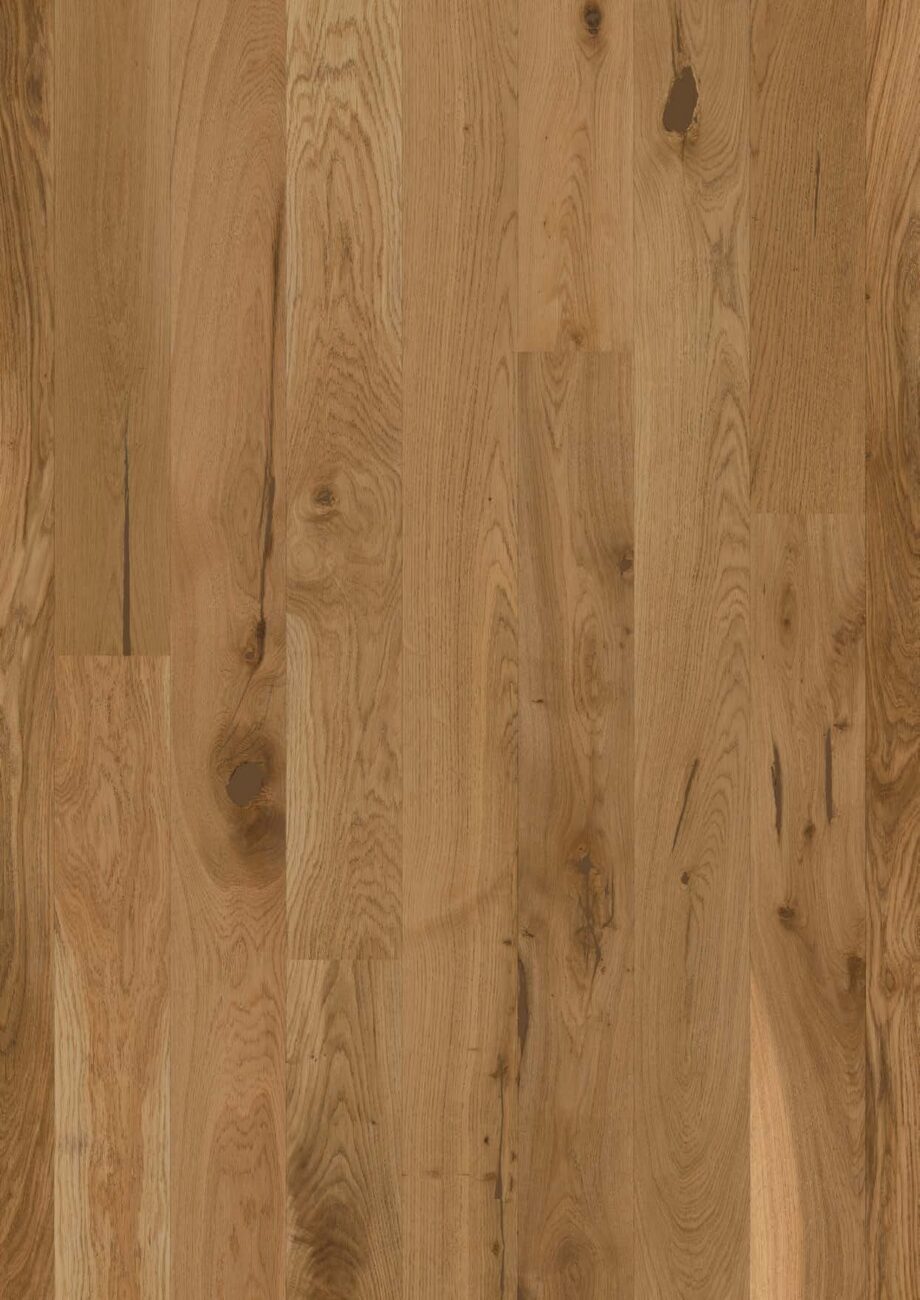 parkett-bauwerk-casapark-budget-cut-tamm-56-harjatud-matt-lakk-138mm Parkett Bauwerk Casapark Budget Cut tamm 56 harjatud matt lakk 138mm laiune laud tugevalt rustikaalse sorteeringuga ja naturaalse tamme tooniga.