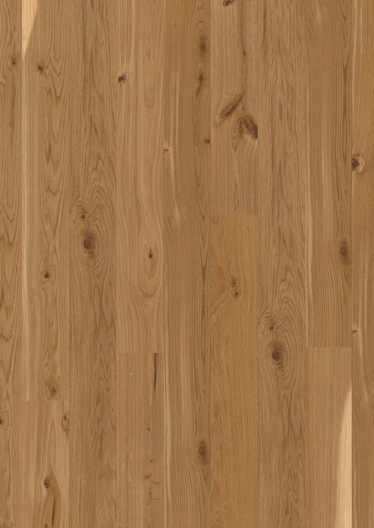 Parkettilattia Bauwerk Boen Casapark tammi 46 Vivo (138 mm), harjattu ja öljyvahattu, asennettuna kodin lattialle – luonnollinen, lämminsävyinen tammensävy (Vivo) ja rustiikkinen sorteerus (oksakohtia sekä eläväistä sävyvaihtelua). Harjattu pinta korostaa puun aitoa tekstuuria.