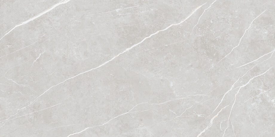 004.869.0183.07981-1 Marmorefektiga poleeritud keraamiline põrandaplaat Tau Elite Silver Pol, 60x120 cm, 10,5 mm, hõbehall, rektifitseeritud
