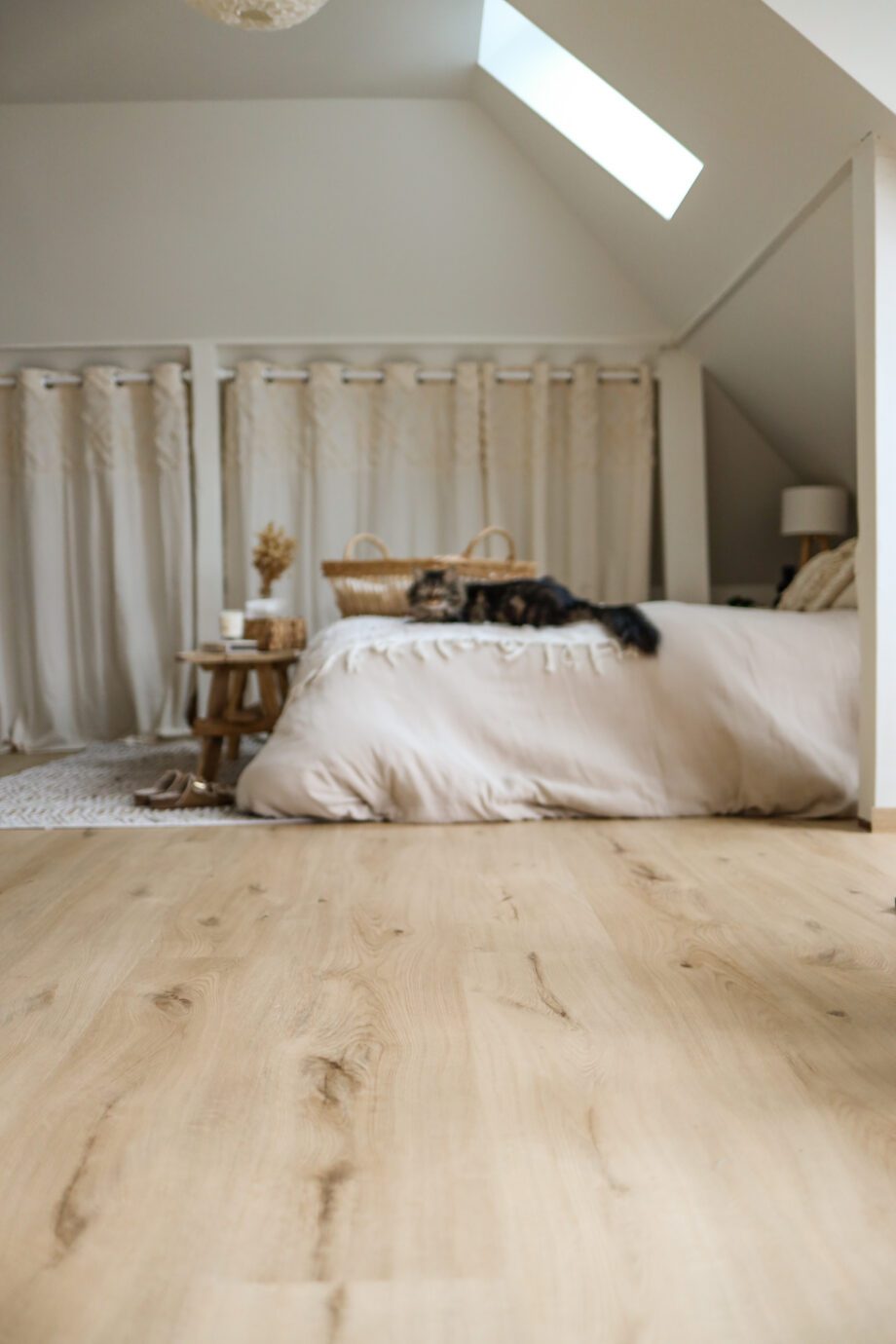 Tugevdatud südamikuga LVT vinüülparkett Floorify XL Plank Sabayon F101