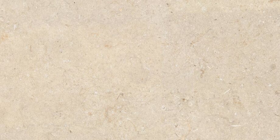 abk-poetry-stone-0010544-2 abk-poetry-stone-0010544-2