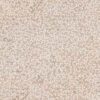 abk-psr-0017569-1