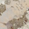 abk-sensi-nuance-0014983-1 abk-sensi-nuance-0014983-1