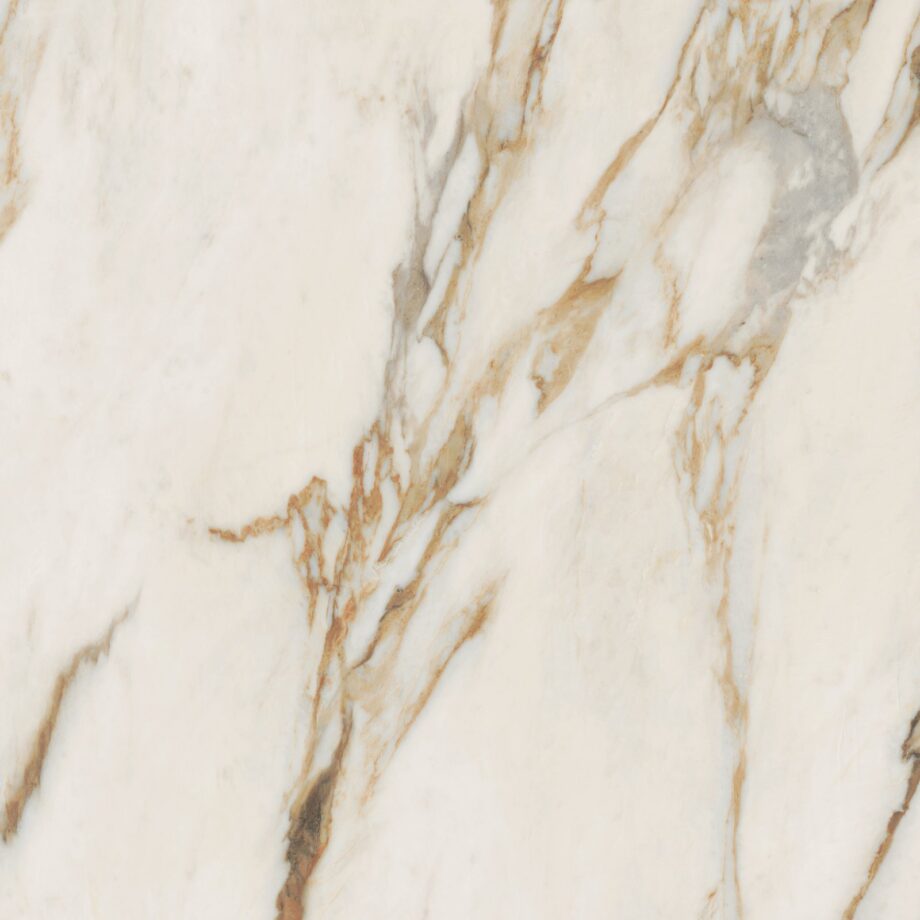 abk-sensi-signoria-0009167_1