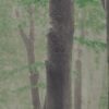 abk-wsod-0001874-1