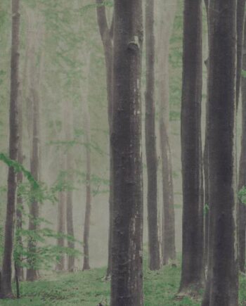 Kuviollinen koristesuurlaatta ABK Wide&Style Woods A, 160x320 cm, 6 mm, matta