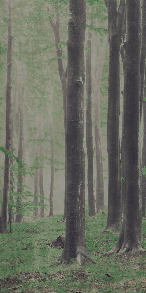 Kuviollinen koristesuurlaatta ABK Wide&Style Woods A, 160x320 cm, 6 mm, matta