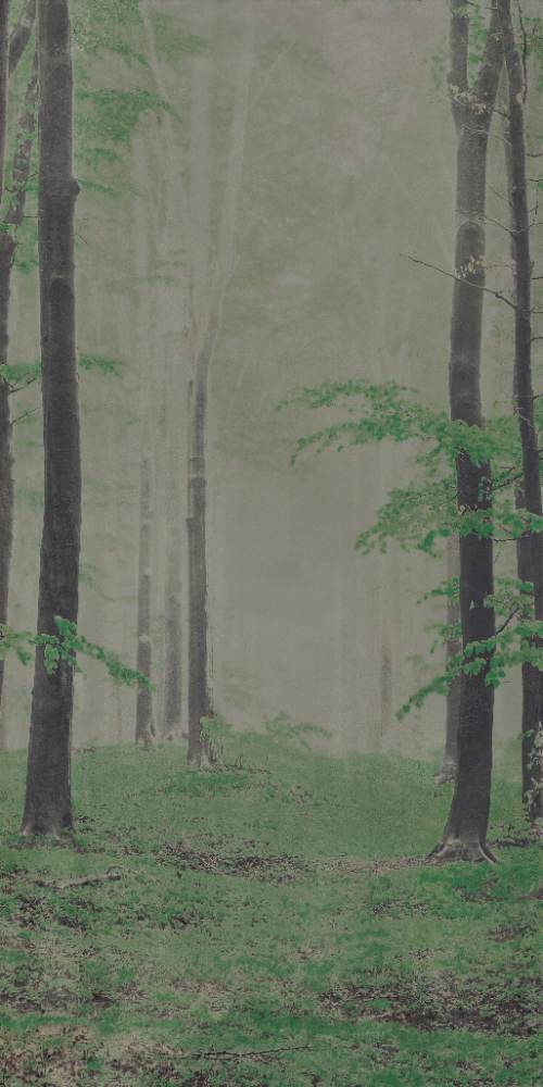 Kuviollinen koristesuurlaatta ABK Wide&Style Woods B, 160x320 cm, 6 mm, matta