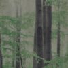 abk-wsod-0007330-1