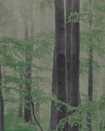 Kuviollinen koristesuurlaatta ABK Wide&Style Woods C, 160x320 cm, 6 mm, matta