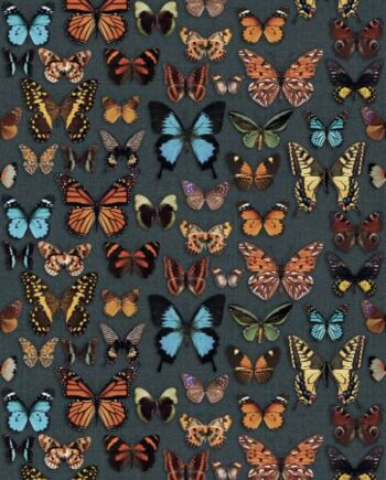 Kuviollinen koristesuurlaatta ABK Wide&Style Papillon, 160x320 cm, 6 mm, matta