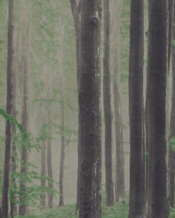 Kuviollinen koristesuurlaatta ABK Wide&Style Woods A, 120x280 cm, 6 mm, matta