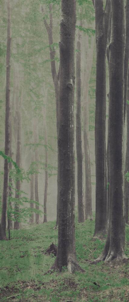 Kuviollinen koristesuurlaatta ABK Wide&Style Woods A, 120x280 cm, 6 mm, matta