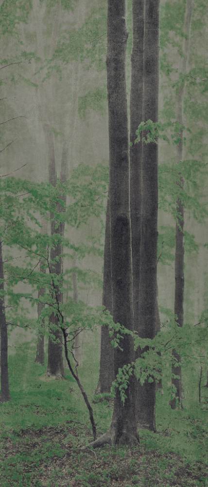 Kuviollinen koristesuurlaatta ABK Wide&Style Woods C, 120x280 cm, 6 mm, matta