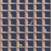 abk-wsod-0011688-1