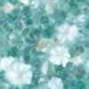 abk-wsod-0017131-1 abk-wsod-0017131-1