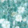 abk-wsod-0017132-1