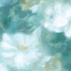 abk-wsod-0017133-1