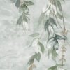 abk-wsod-0017285-1