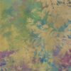 abk-wsod-0017307-1 abk-wsod-0017307-1