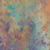 abk-wsod-0017314-1