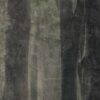 abk-wsrto-0003215-1