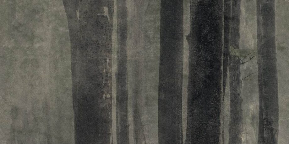 abk-wsrto-0003215-2