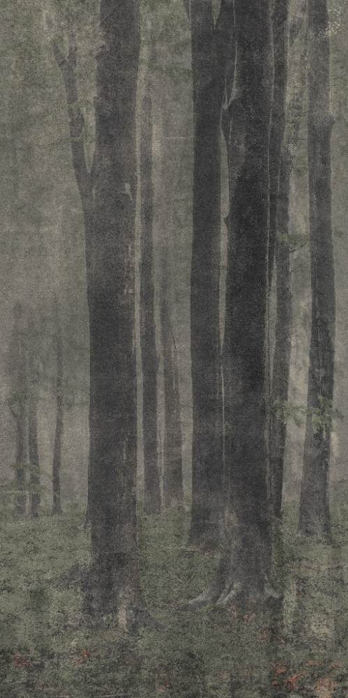 Kuviollinen koristesuurlaatta ABK Wide&Style Woods, 120x240 cm, 6 mm, matta