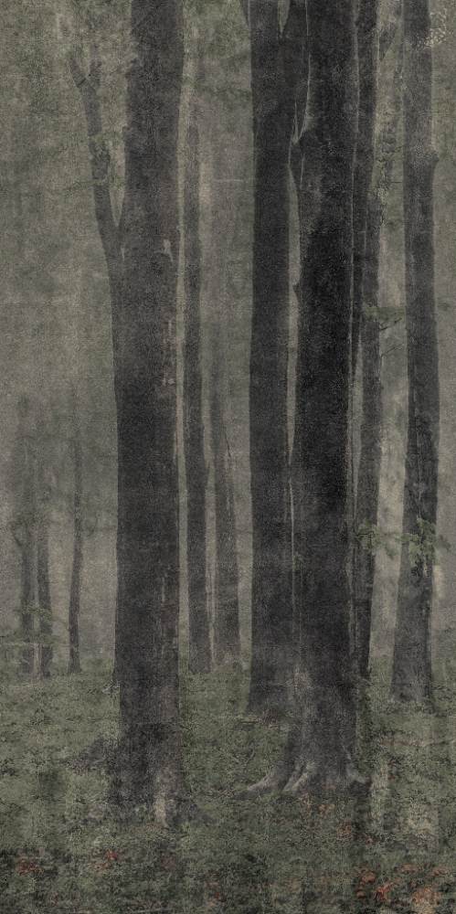 Kuviollinen koristesuurlaatta ABK Wide&Style Woods, 120x240 cm, 6 mm, matta