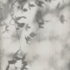 abk-wsrto-0010089-1