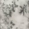 abk-wsrto-0010089-2