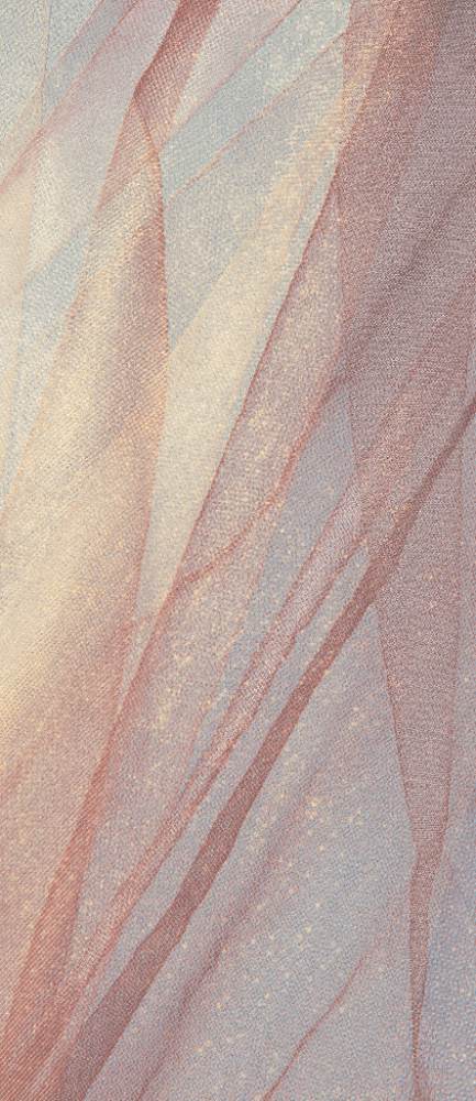 Kuviollinen koristesuurlaatta ABK Wide&Style Net, 120x280 cm, 6 mm, kiiltävä (lux)