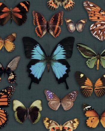 Kuviollinen koristelaatta ABK Wide&Style Papillon, 60x120 cm, 8,5 mm, matta