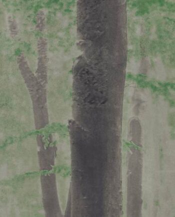 Kuviollinen koristelaatta ABK Wide&Style Woods A, 120x240 cm (4 x 60x120 cm), 8,5 mm, matta