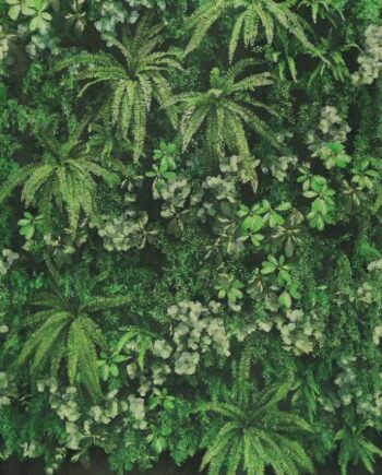 Kuviollinen koristesuurlaatta ABK Wide&Style Secret Garden Wall, 160x320 cm, 6 mm, matta