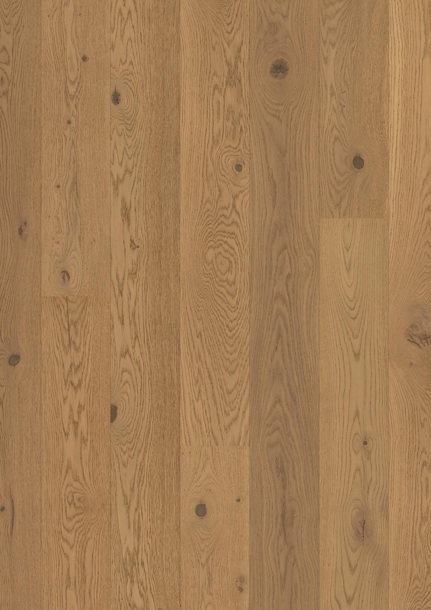 Parkett Bauwerk Casapark tamm 46 Mandorla B-Protect® ultramatt lakk 181mm