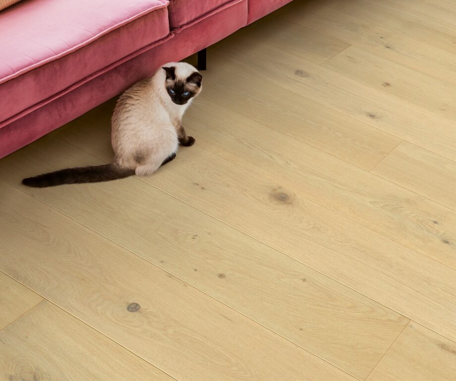 Parkett Quick-Step Cala Pearl White Oak eriti matt lakk, veekindel 220mm Parkett Quick-Step Cala Pearl White Oak eriti matt lakk, veekindel 220mm