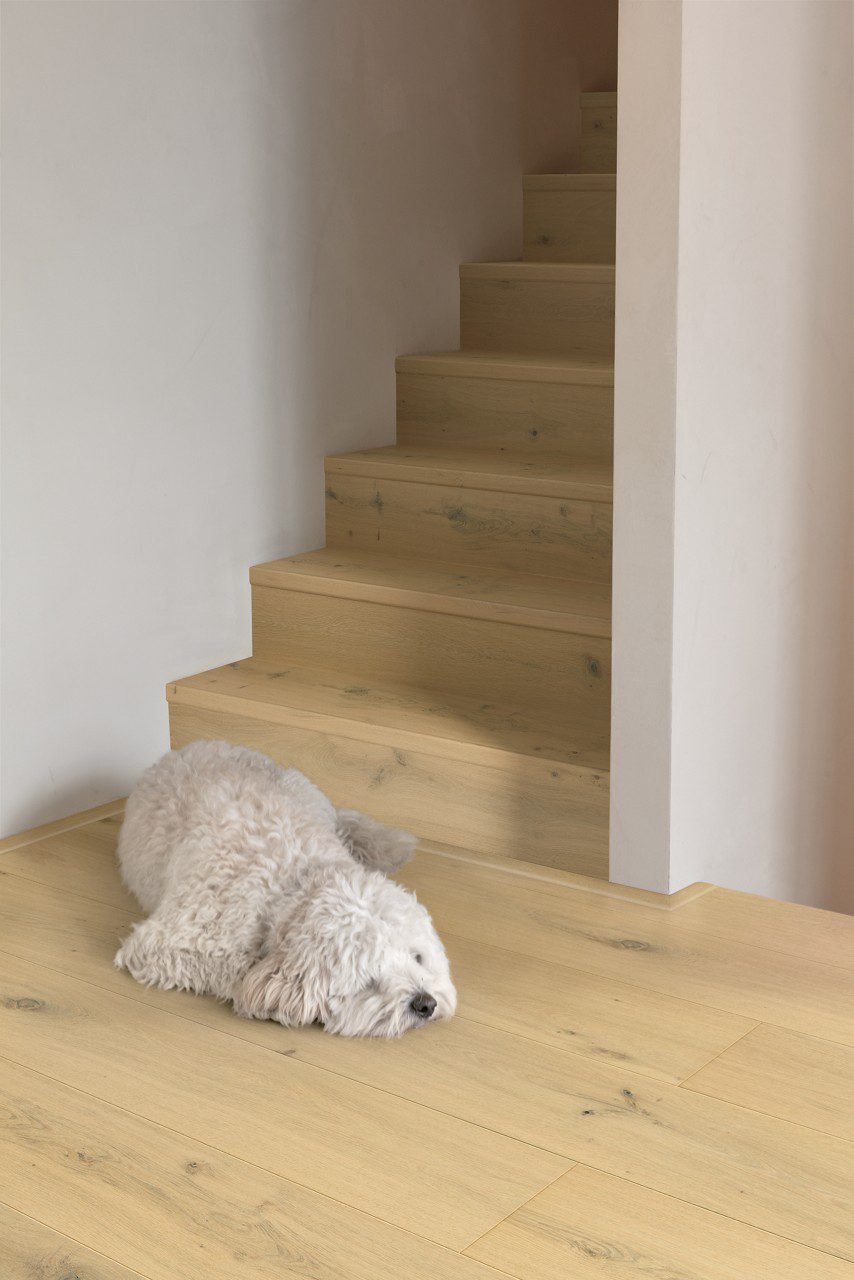 Parkett Quick-Step Cala Pearl White Oak eriti matt lakk, veekindel 220mm