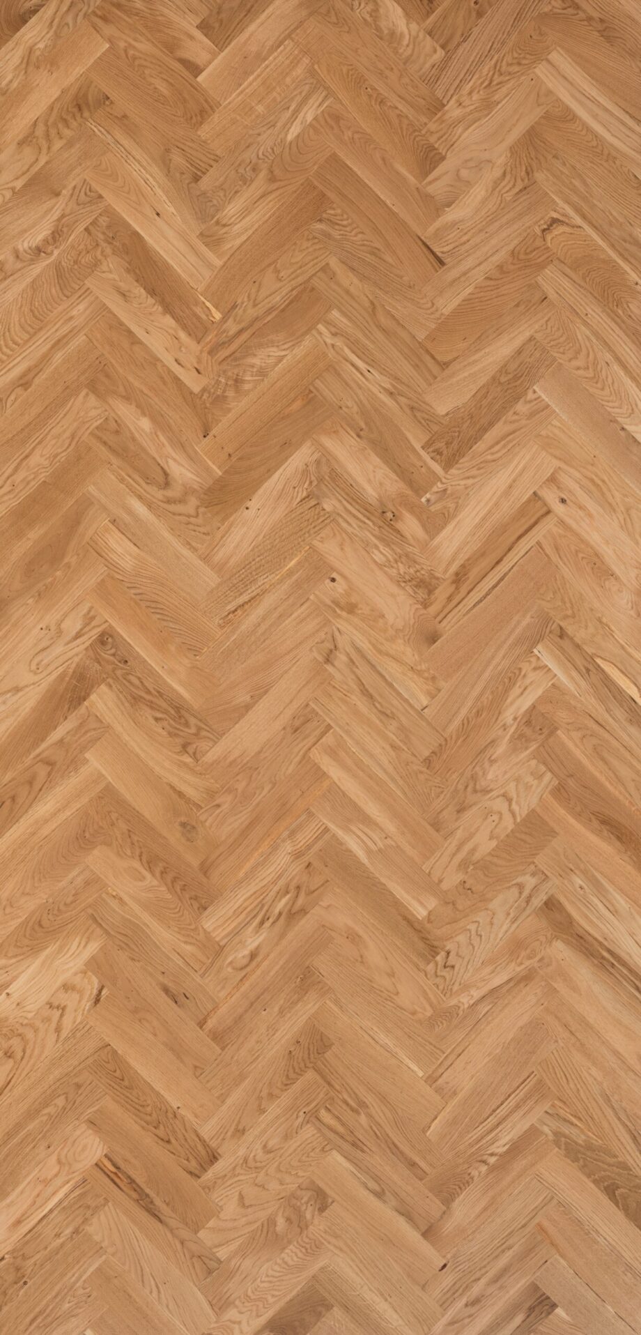 Sauvaparketti / kalanruotoparketti tammi rustic värikas viimeistelemättömät.