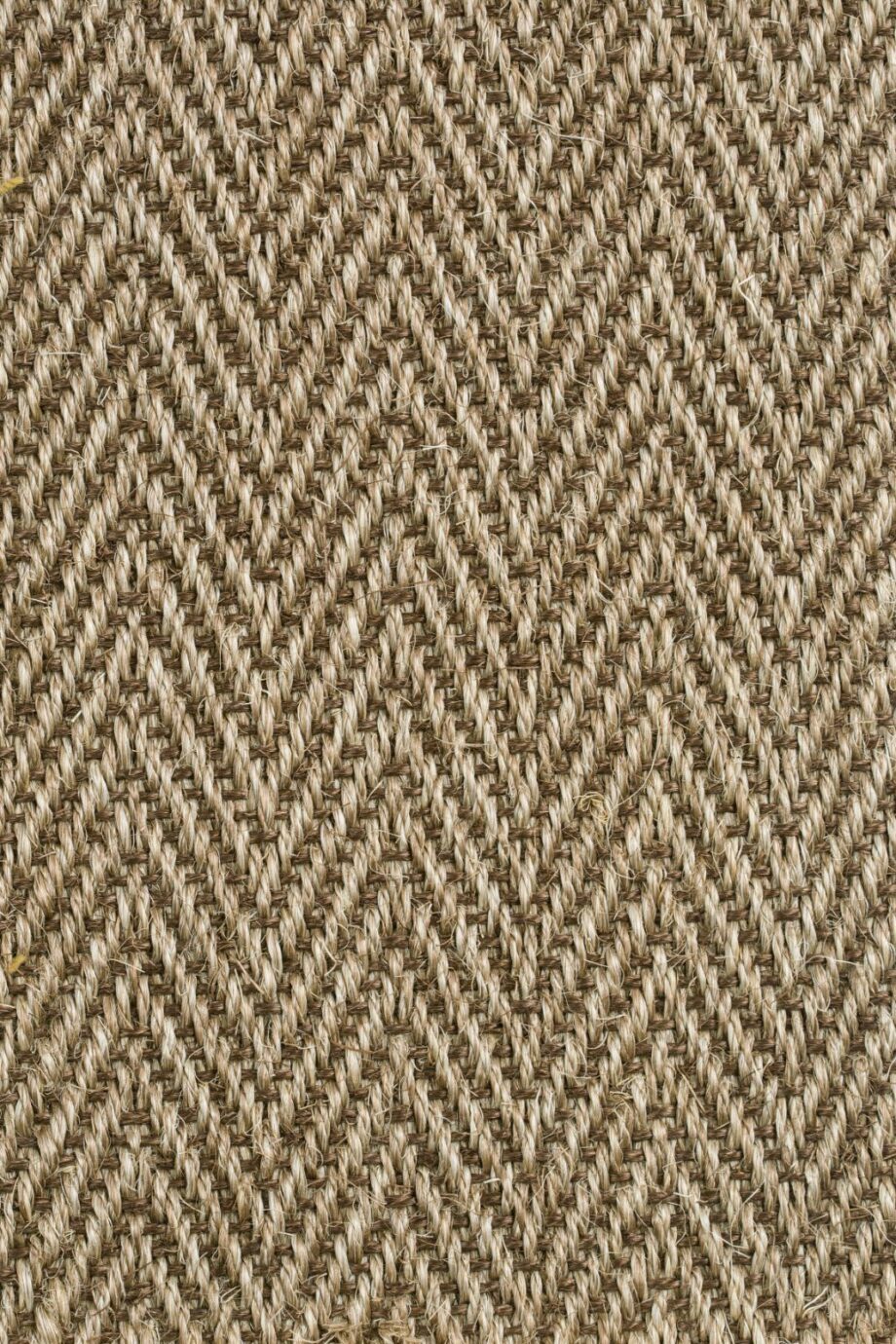 Sisal kokolattiamatto Tasibel Bellevue 1414/21 Sisal kokolattiamatto Tasibel Bellevue 1414/21