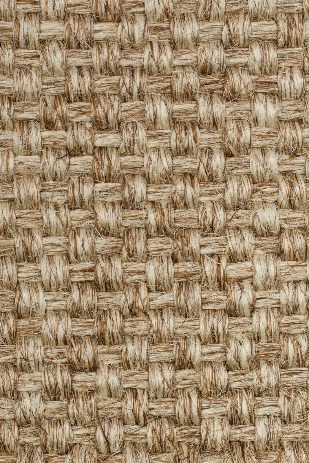 Sisal kokolattiamatto Tasibel Colora 2851/20