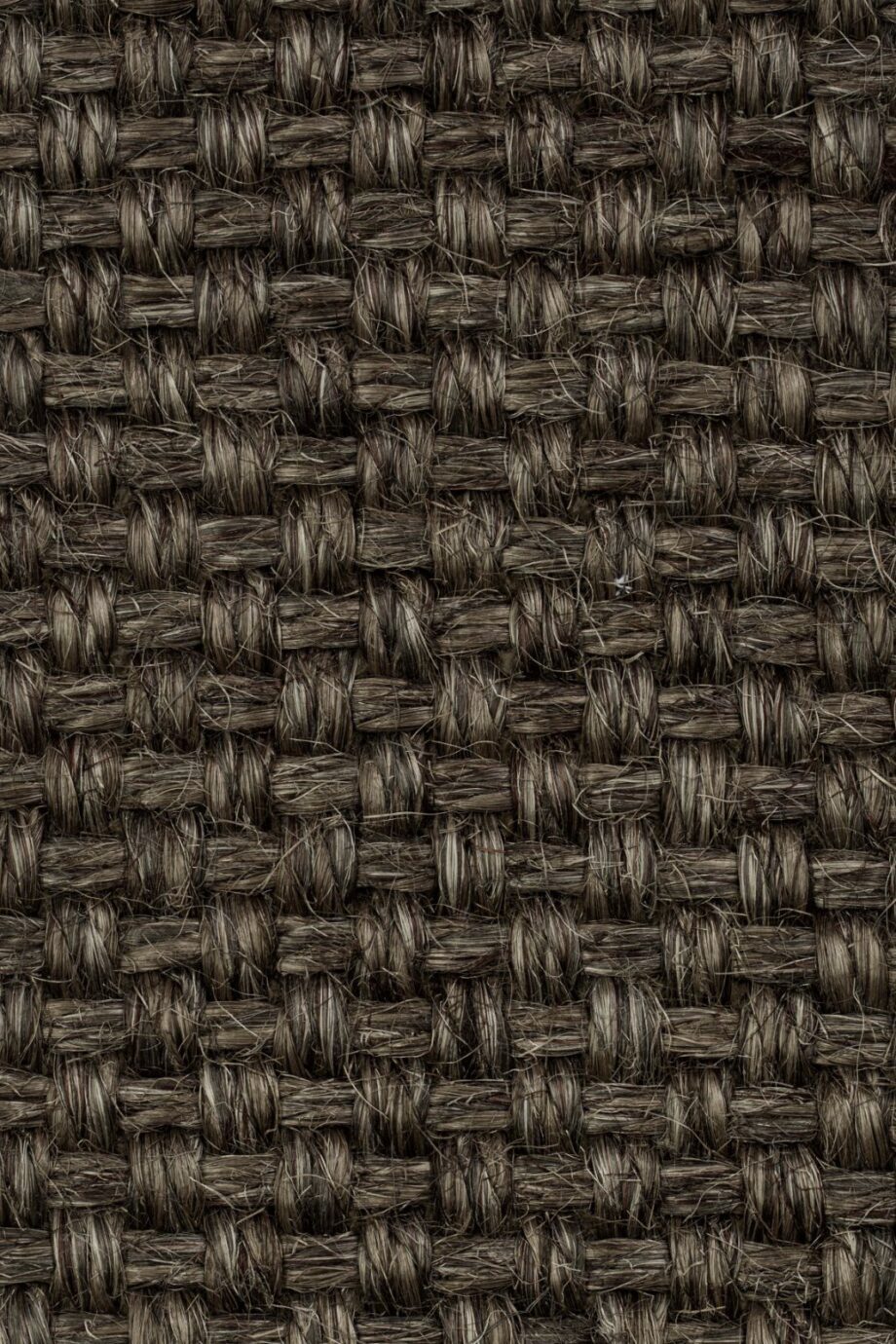 Sisal kokolattiamatto Tasibel Colora 2853/20