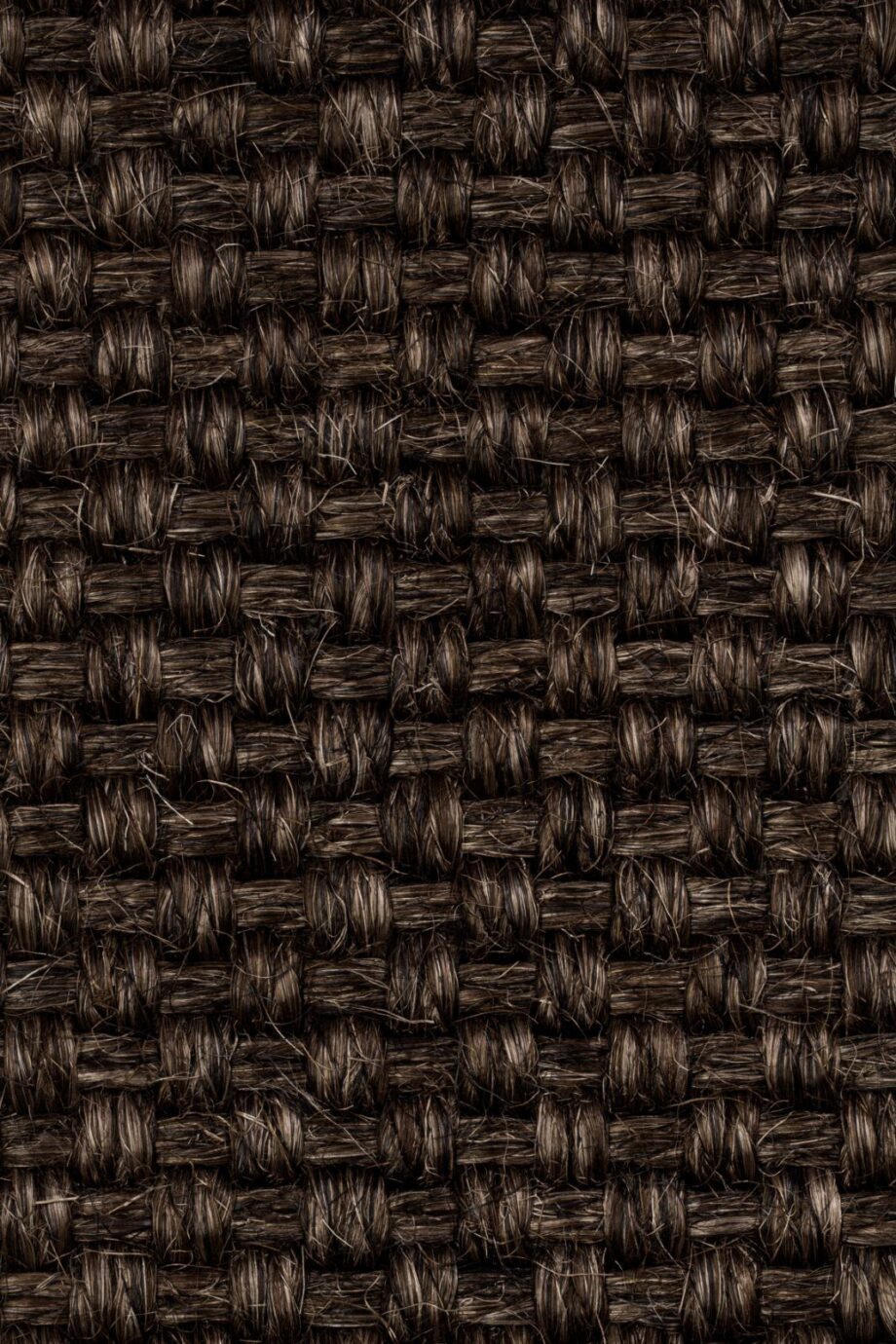 Sisal kokolattiamatto Tasibel Colora 2854/20