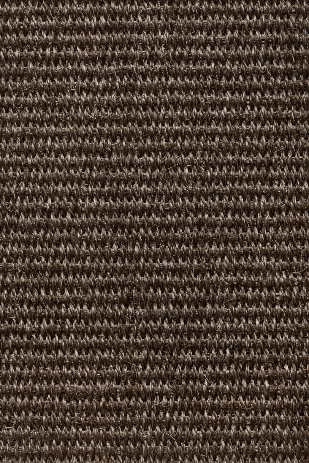 Sisal kokolattiamatto Tasibel Urban Plus 2216/21
