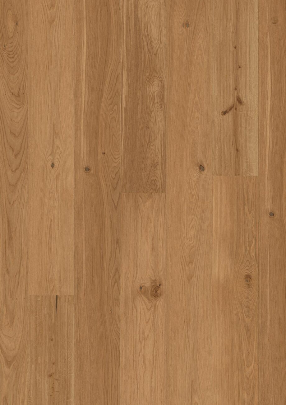 Tammeparkett Bauwerk Casapark tamm 35 harjatud õlivaha 181mm Tammeparkett Bauwerk Casapark tamm 35 harjatud õlivaha 181mm