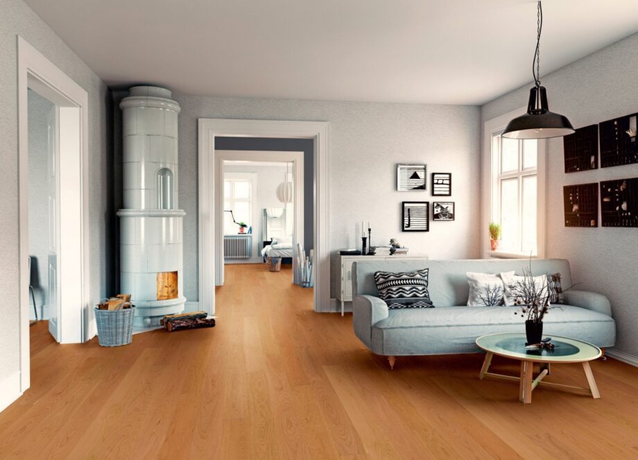 thede-witte-52lhoecl15-ki20-plaadid