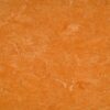 1702_2084_121-073_Spicy_Orange 1702_2084_121-073_Spicy_Orange