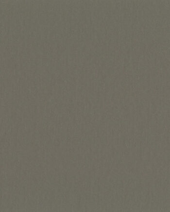 4981_10990_linoleumi-gerflor-uni-walton-acoustic-plus-0058-clay-grey