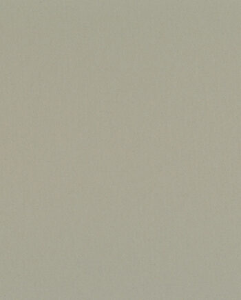 4982_10995_linoleumi-gerflor-uni-walton-acoustic-plus-0085-warm-concrete-grey