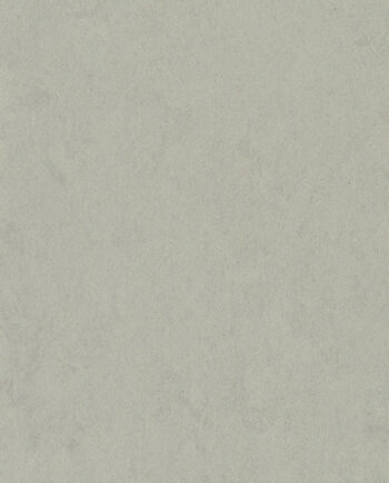 4987_11022_linoleumi-gerflor-lino-art-urban-acoustic-plus-0552-silver-grey